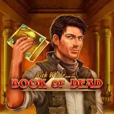 Book of Dead online slot from Play&#039;n GO – play at lebullpolska.com